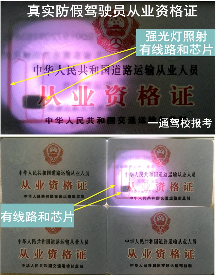 驾驶员资格证模拟考试真伪图片